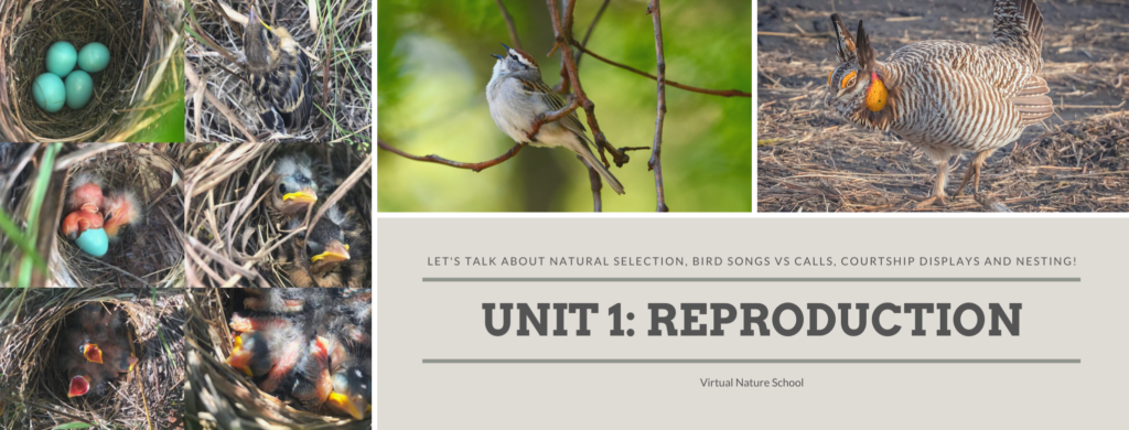 UNIT 1: REPRODUCTION Header