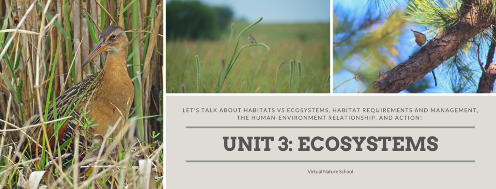 UNIT 3: ECOSYSTEMS Header