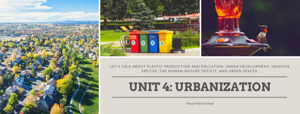 UNIT 4: URBANIZATION Header