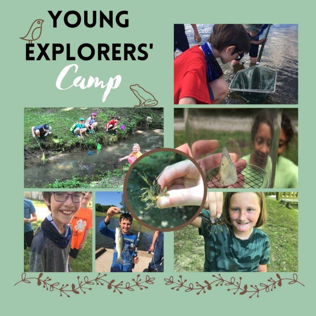 Young Explorers’ Camp