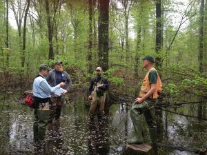 MRBO consults with MDC Natural Areas Coordinator Mike Leahy, MDC Natural History Biologist Bruce Henry, and MDC Forester Mark Pelton at Coon Island Conservation Area.