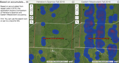 Comparing species richness