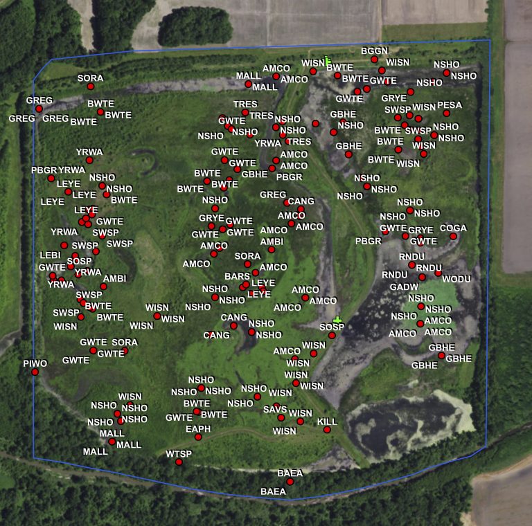 Snapshot of the birds mapped on a private wetland in central Missouri during the migration season.