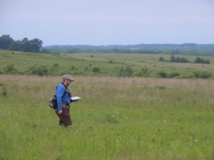 Surveying for birds