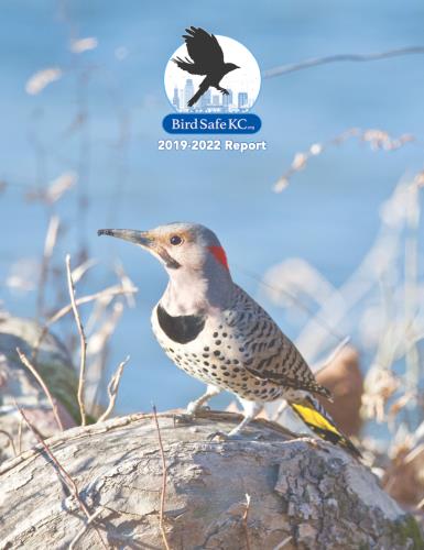 2019-2022 BirdSafeKC Report