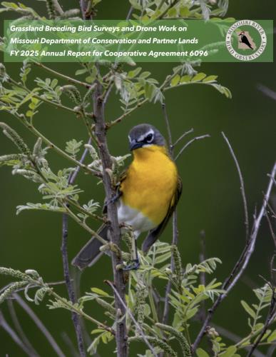 2025 Grassland Breeding Bird Surveys and Drone Work