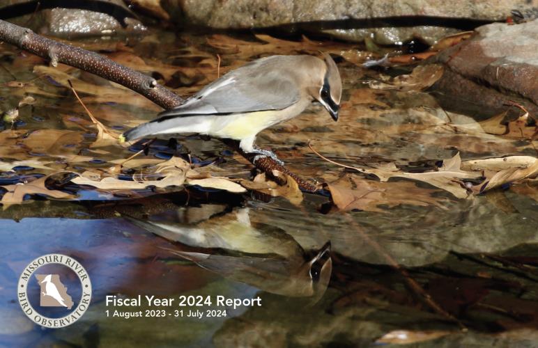 2024 Fiscal Year Report