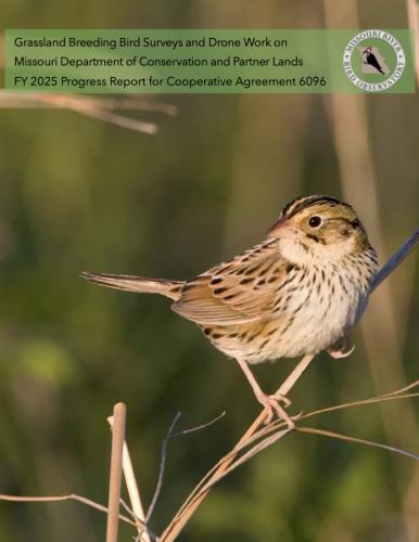 Grassland Breeding Bird Surveys and Drone Work Report