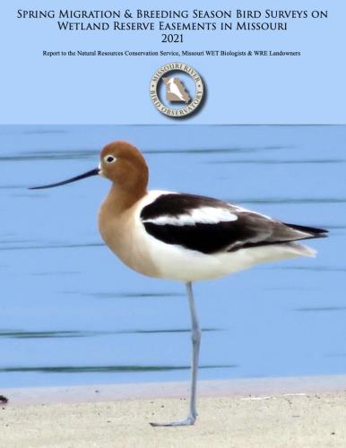 2021 Wetlands Report