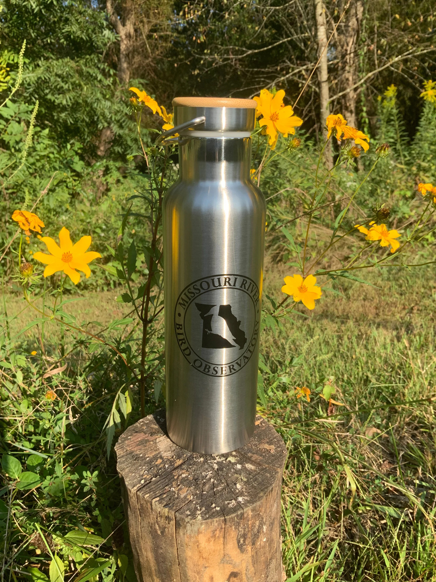 MRBO Water Bottle