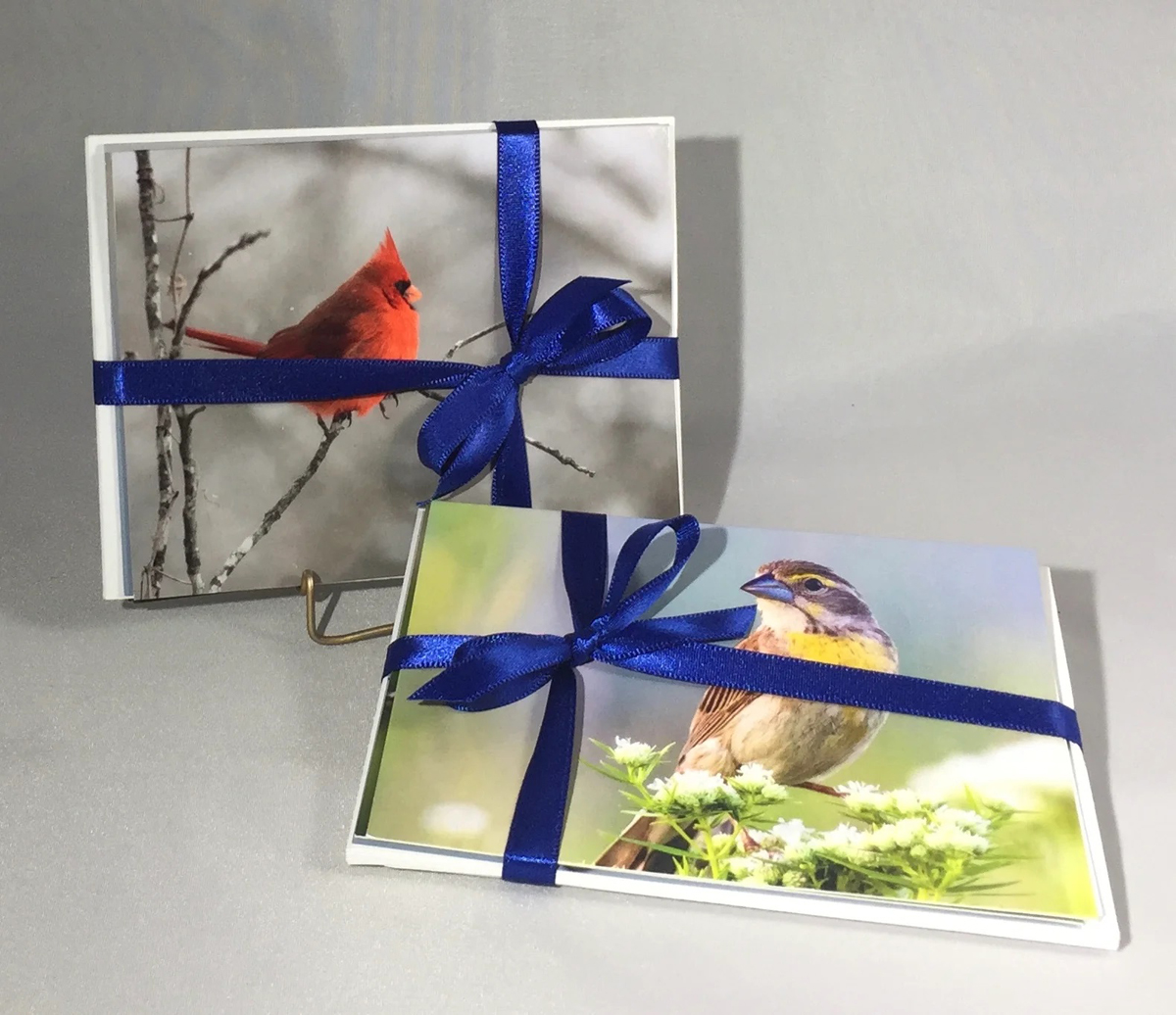 Bird Notecards