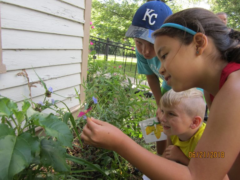 Kids exploring plants