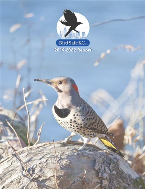2019-2022 BirdSafeKC Report