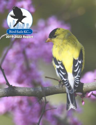 2019-2023 BirdSafeKC Report