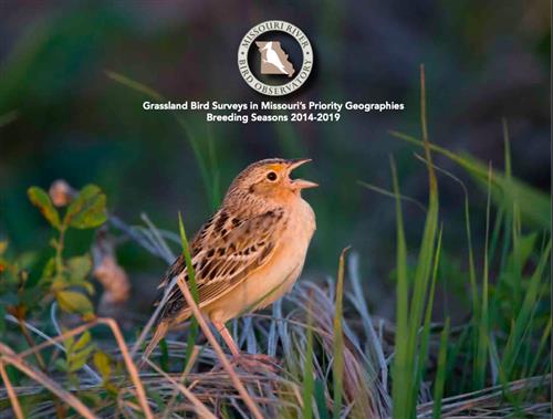 2019 Grassland Bird Survey Report