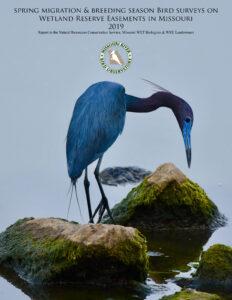 2019 Wetland Bird Survey Report