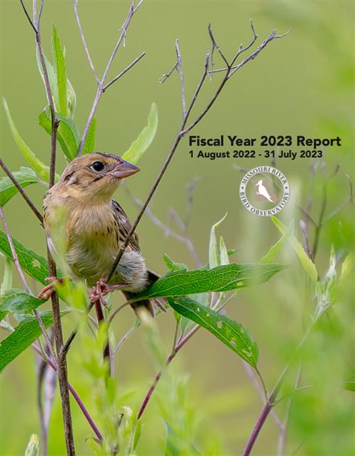 2023 Fiscal Year Report