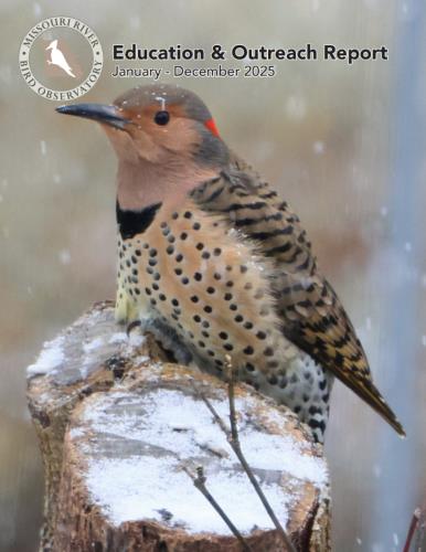 2025 Education Report