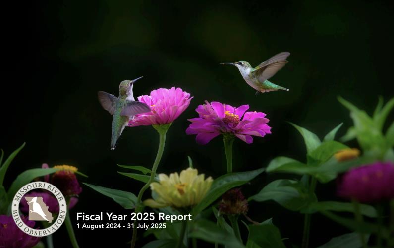 2025 Fiscal Year Report